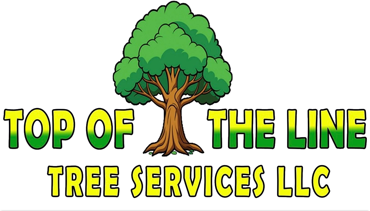 Top of the Line Tree Services LLC logo